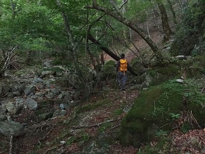 沢ルートはなだらかで涼しいしイイ！！