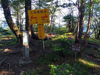 弁天の森(1600m)に到着