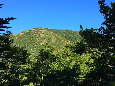 弁天の森から弥山小屋が見えた
