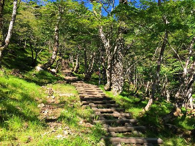 なが～い階段。見るだけでもぞっとするが下を向いてると意外に早い