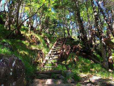 この鉄の階段が見えたらもう少し！