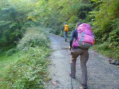 この付近は嫌な急登の舗装道