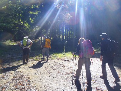 シャイなS嬢がIkajyuさんと何か話してる