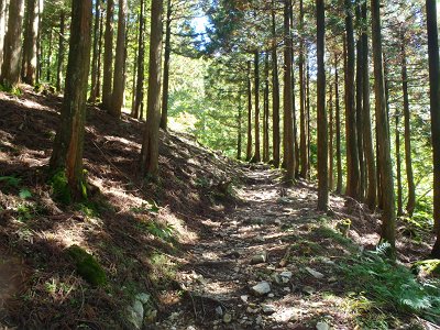 明神平までジグザグの道が続いたのをよく覚えている