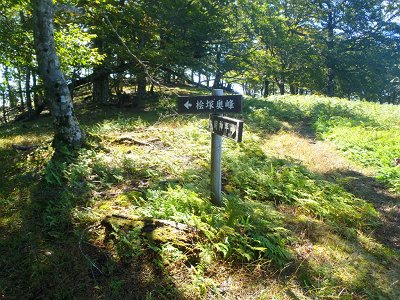 分岐。明神岳ではなく桧塚になっているんだ
