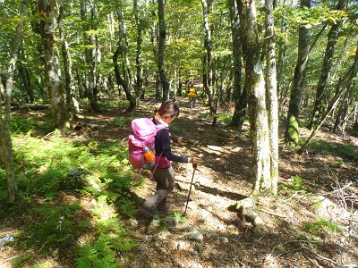 明神岳から一旦下る。この登り返しがちょいキツかった！