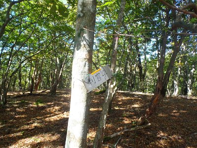 判官平、ホウカンダイラと読むらしい。薄くカタカナふってあったが、ほとんど見えなかった
