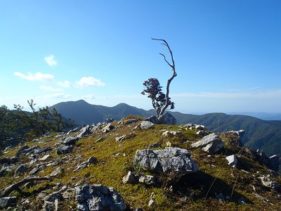 こういう雰囲気いい！