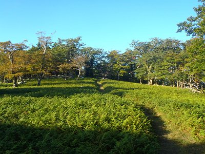 西日になると見え方がかわる