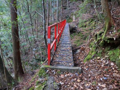 こういう橋が続くんだけど、渡るのは結構揺れるし、なんとなくもろそうで怖い