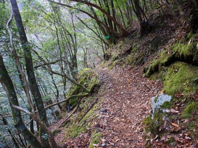 沢沿いの道をこまめなアップダウンがあって続く