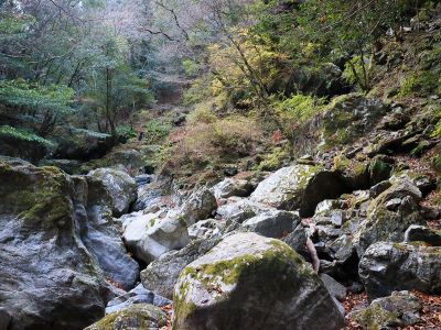 沢に下りてみてみると橋だらけ。どんどん進んでいく