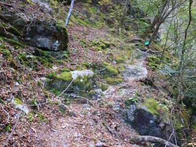 この付近から鎖場がでてきた