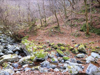 ここが奥ノ出合。小さな看板があるけど何が書いてあるかわからんかった。ここから尾根に向かって登っていく