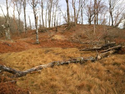 広い尾根を進んで霧降山を目指す。この付近の雰囲気は人があまりいないのかいい感じ