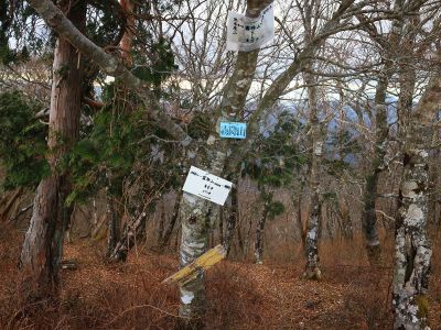 霧降山(約1360m)に到着。結構早く着いた