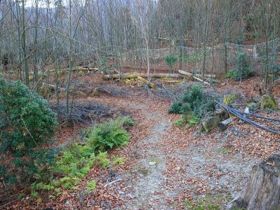 ネットが倒れてたり穴が開いてたりしてる所があったのでそこからネットの中に入った。踏み跡があるので従って下っていく