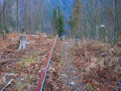 レールがあった。ルート的にはとりあえずレール伝いに下っていく