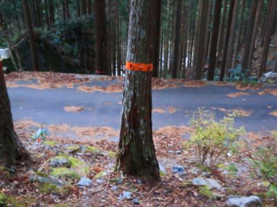 道路に下りた。ここを右に行くとすぐ駐車場