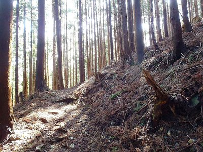 ひたすらトラバースが続く
