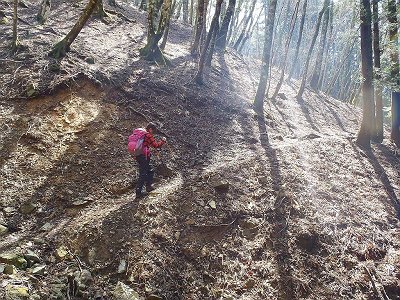ずっと続くなだらかな登り