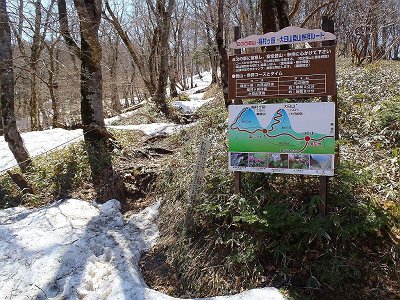 ここから稲村岳の山頂を目指す
