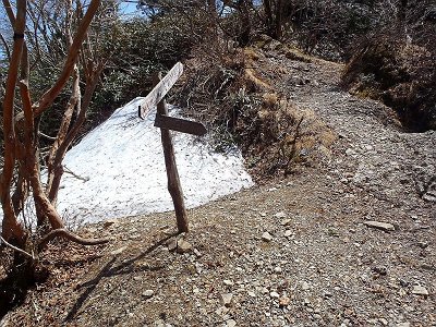 キレットにきた。これ以上はもしヤバいところがあったら敗退予定で稲村のトップを目指す