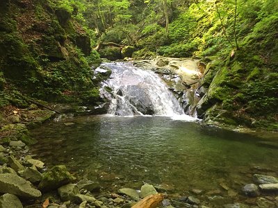 なかなかグッドな滝。本来ならここに飛び込んで登るが、今回は上半身濡れるとこまるので、これを巻きます