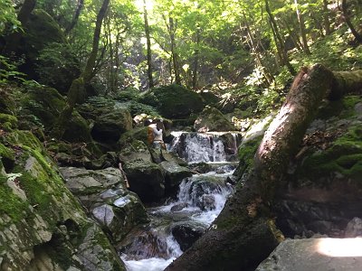 登れるところはどんどん登っていきます