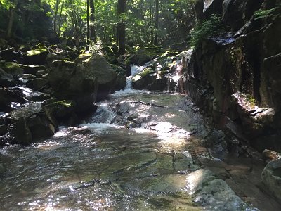 ナメ地帯も少しあり