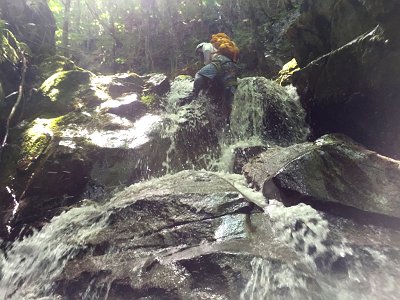 じゃんじゃん登っていきます