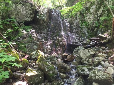 これは右側から登ります