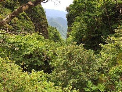 この間の谷をつめてきたんだなあ