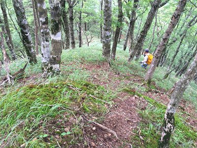 クロモジ尾を降りていきます