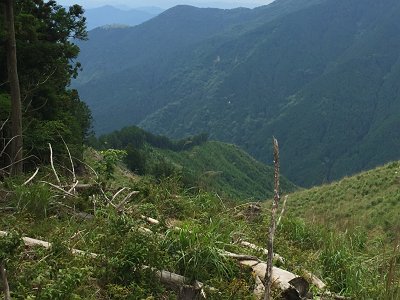 下を見るとモヒカンのような形をした尾根があった。これから、あのモヒカンの先のところまで行く