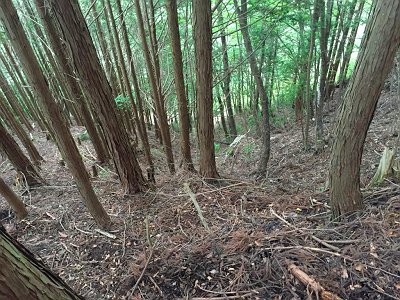 道路がみえた。ここまで長かった