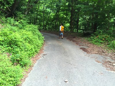 白倉林道に降りた。最後の下りはわけがわからなかった。そしてクロモジ尾は結構長い尾根だったよ～