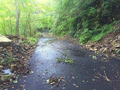 林道は10分ほど歩く