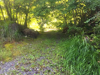 この先に橋まで歩く