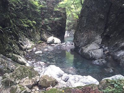 下っていきます。あの単調で長い沢歩きは下りもやっぱ長かったです