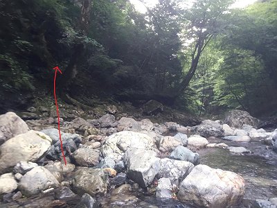 入渓ポイント。ここを左に登っていくと階段があります