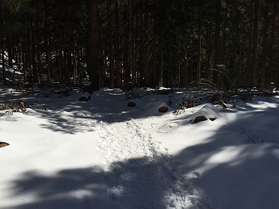 ここからはなだらかになる