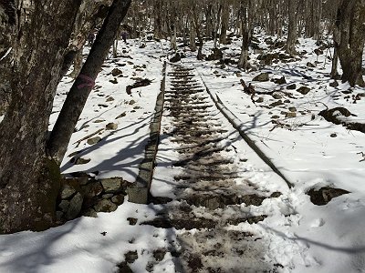ここから階段もしかり急登になる