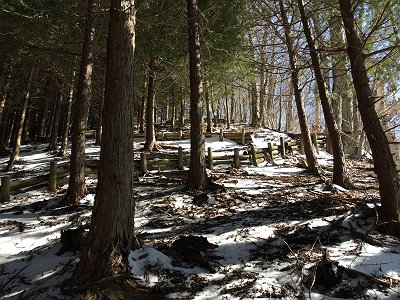 ここからのラストになるジグザグ道がキツい