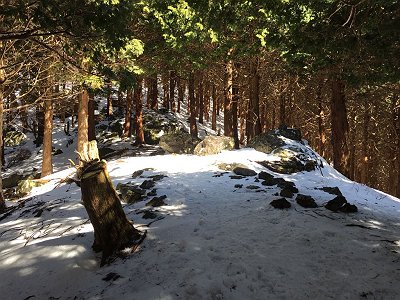 ここまで来ると楽になる