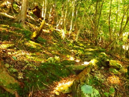 登山道はつづら折れの道になって階段があったり意外と整備されている