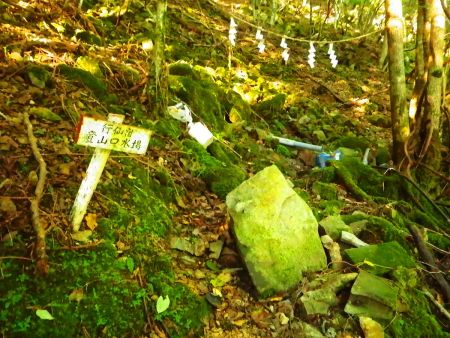 ここに水場があるけどこれは飲めるのかな！？なんとなく危険な感じがするんだけどね