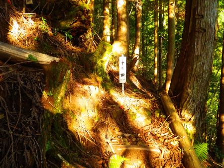 続いて十五曲というプレートがあるけど、たしかに連続してつづら折れの道が続いてるけど十五の曲がりという意味だろうか！？