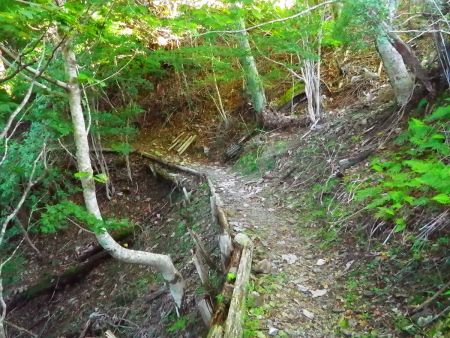 トラバースの道になった。ここまでくるともう少し。トラバースの終わりが奥駈道行仙宿になる