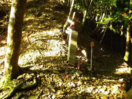 鉄塔から下りきると分岐があった。奥駈道は直進なので次は登りになる